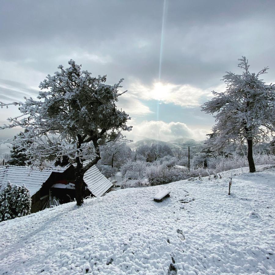 Affittacamere Libling Ruzovy Banská Štiavnica Esterno foto
