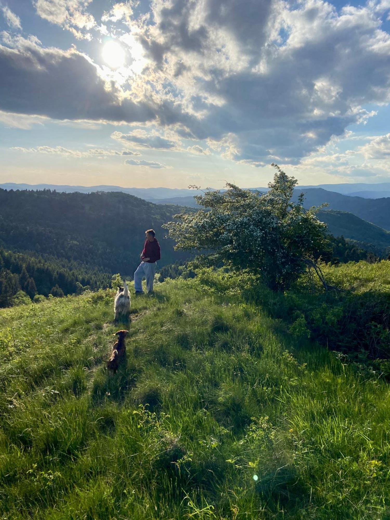 Affittacamere Libling Ruzovy Banská Štiavnica Esterno foto